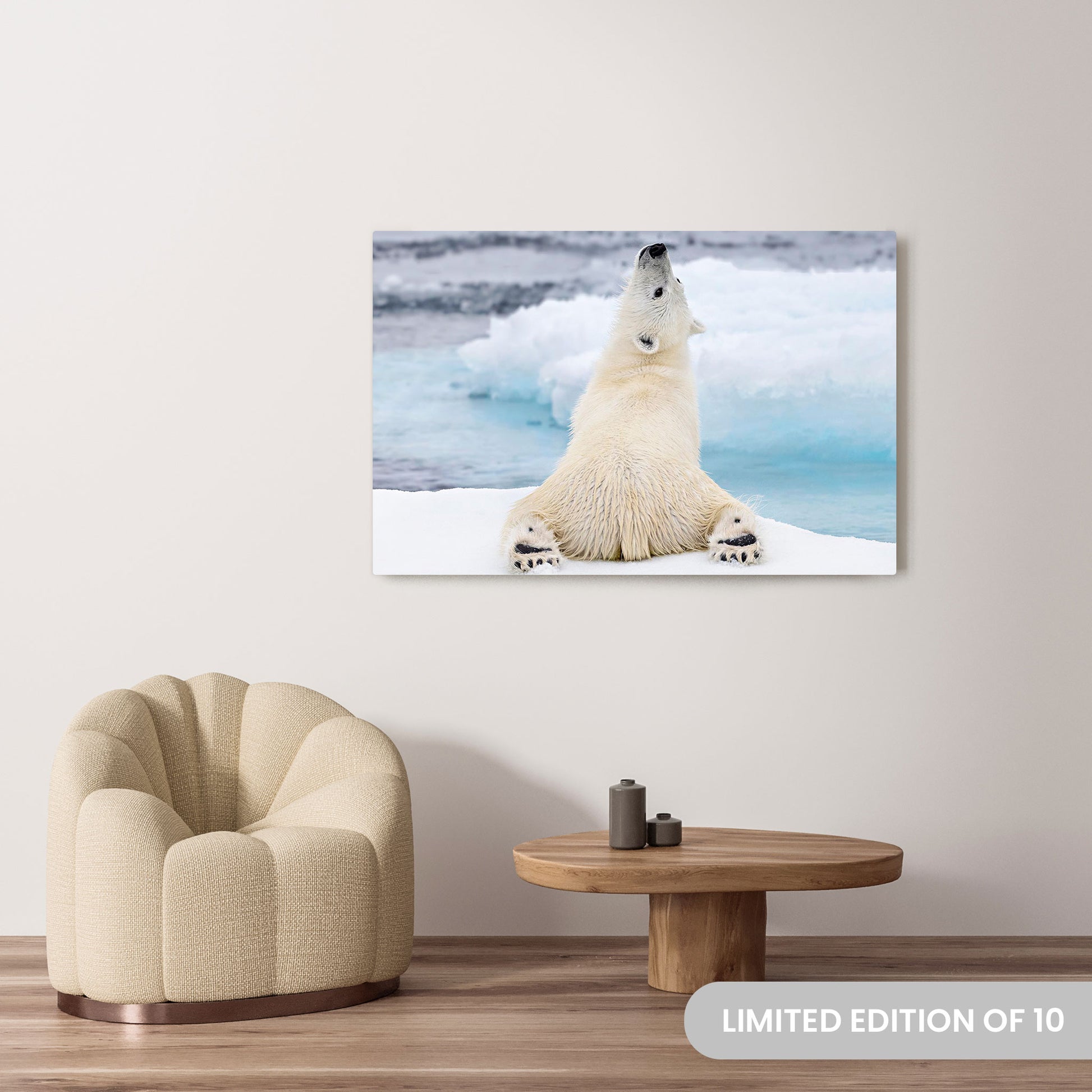 Michelle Valberg's Yogi Bear photography reproduced on a 36x54 HD metal print