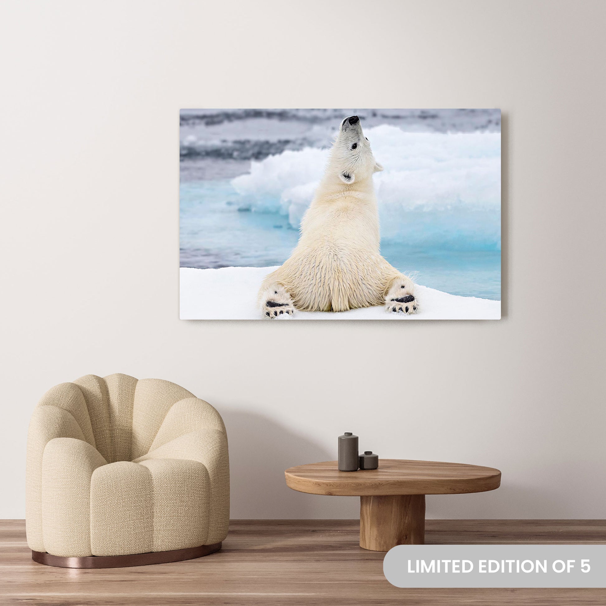 Michelle Valberg's Yogi Bear photography reproduced on a 40x60 HD metal print