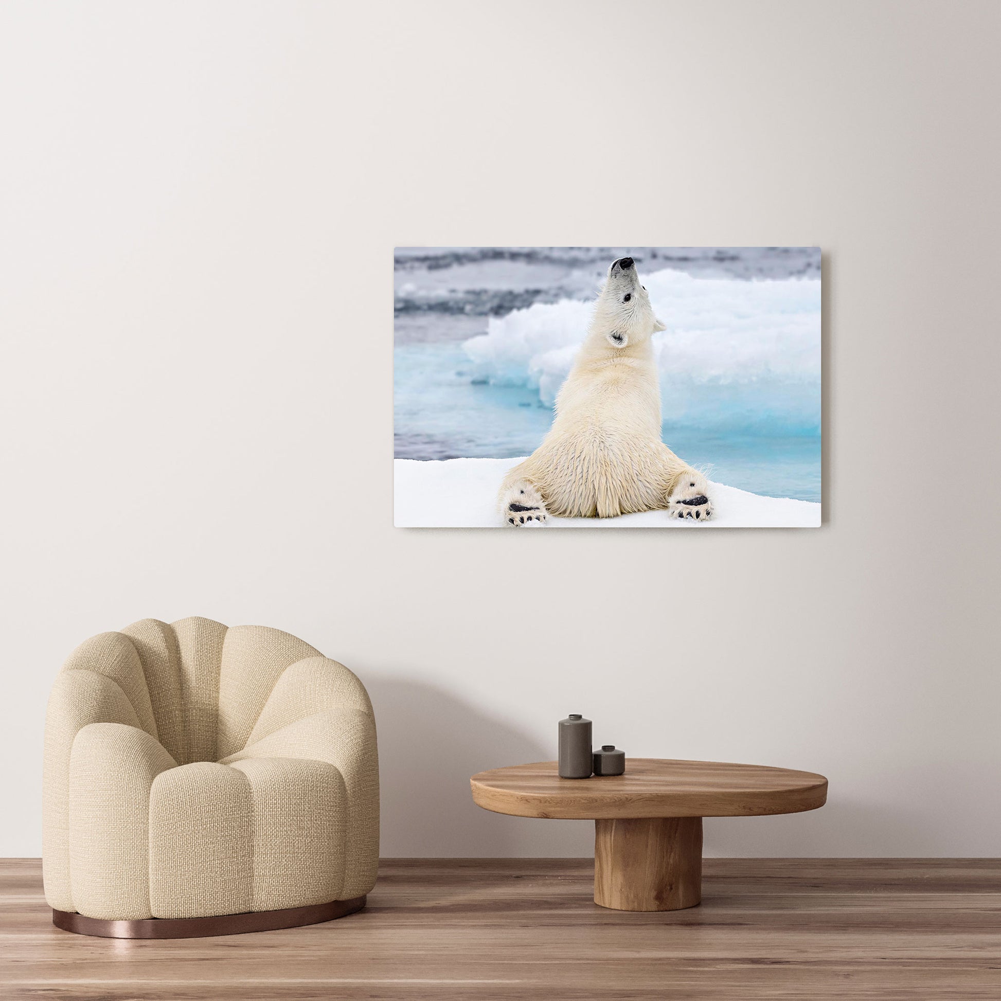 Michelle Valberg's Yogi Bear photography reproduced on HD metal print and displayed on wall