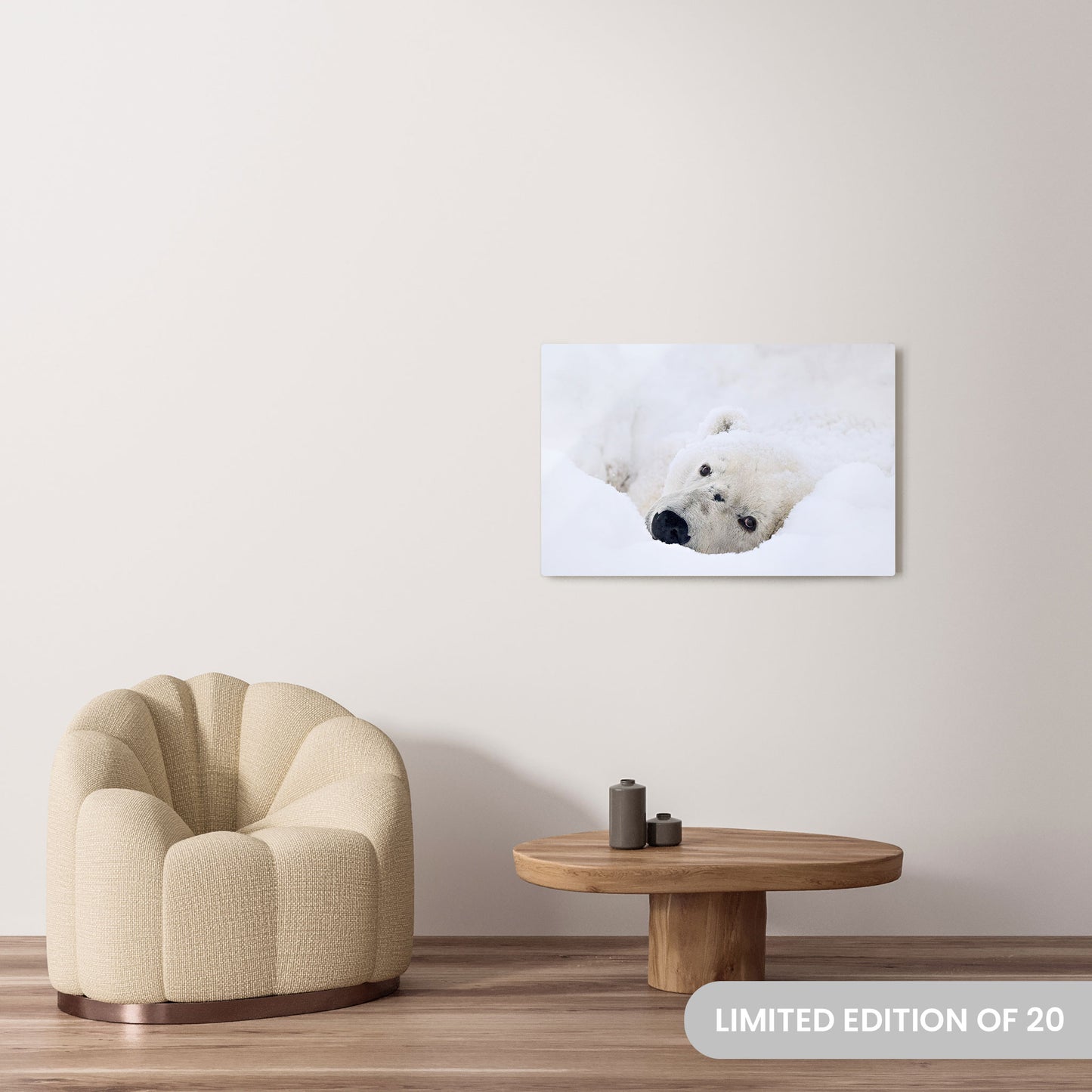 Michelle Valberg's Lazy Bear photography reproduced on a 24x36 HD metal print