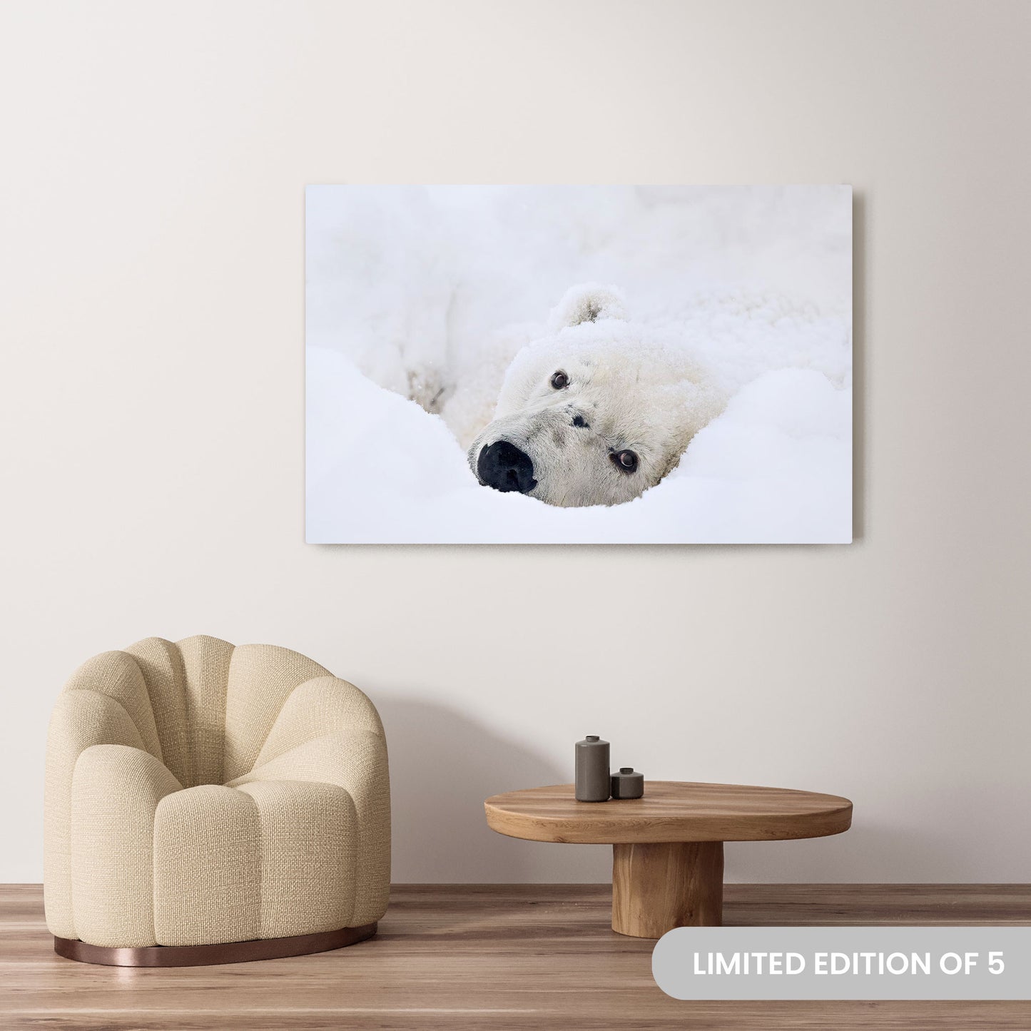 Michelle Valberg's Lazy Bear photography reproduced on a 40x60 HD metal print