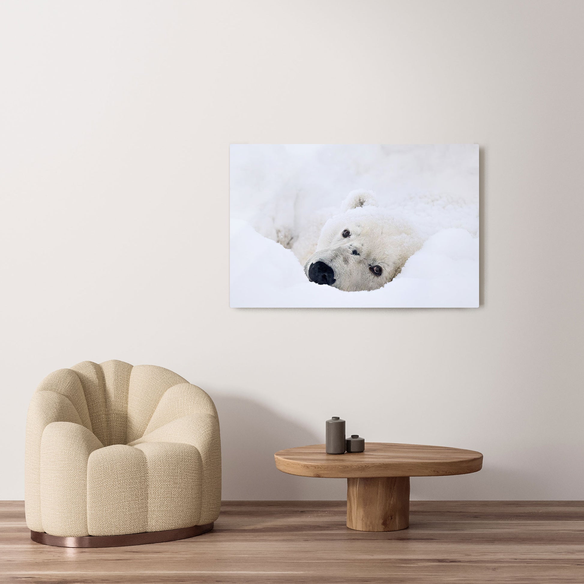 Michelle Valberg's Lazy Bear photography reproduced on HD metal print and displayed on wall