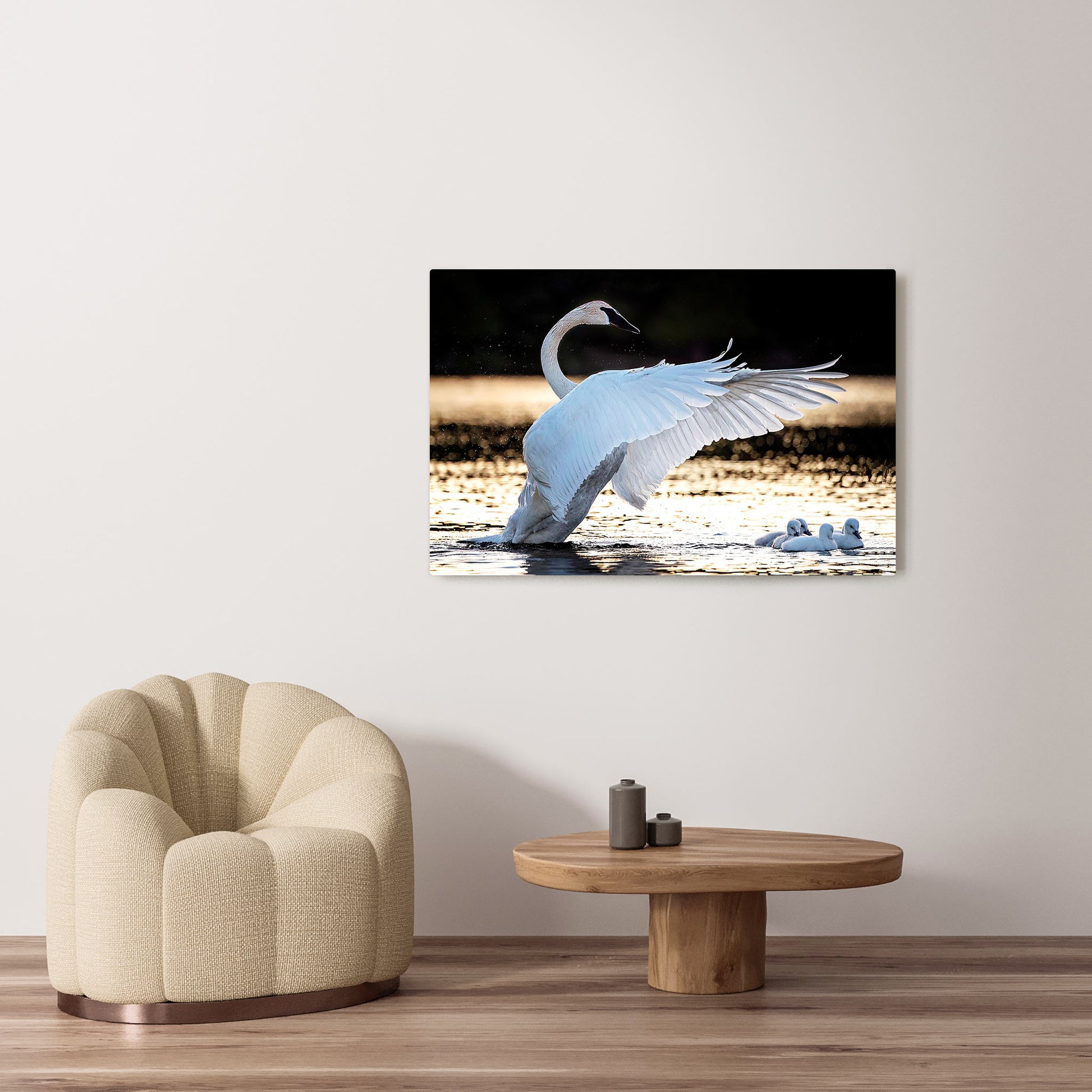 Michelle Valberg's Swan Lake photography reproduced on HD metal print and displayed on wall