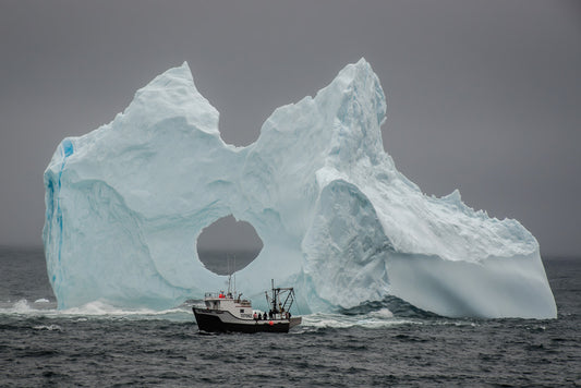 Ray Mackey's' Cappahayden Iceberg Drama print close-up