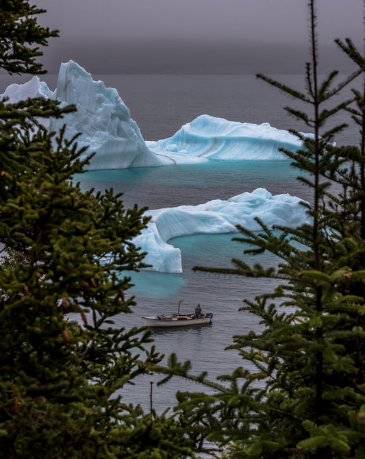 Ray Mackey's Bay Bulls Iceberg Fisherman print close-up