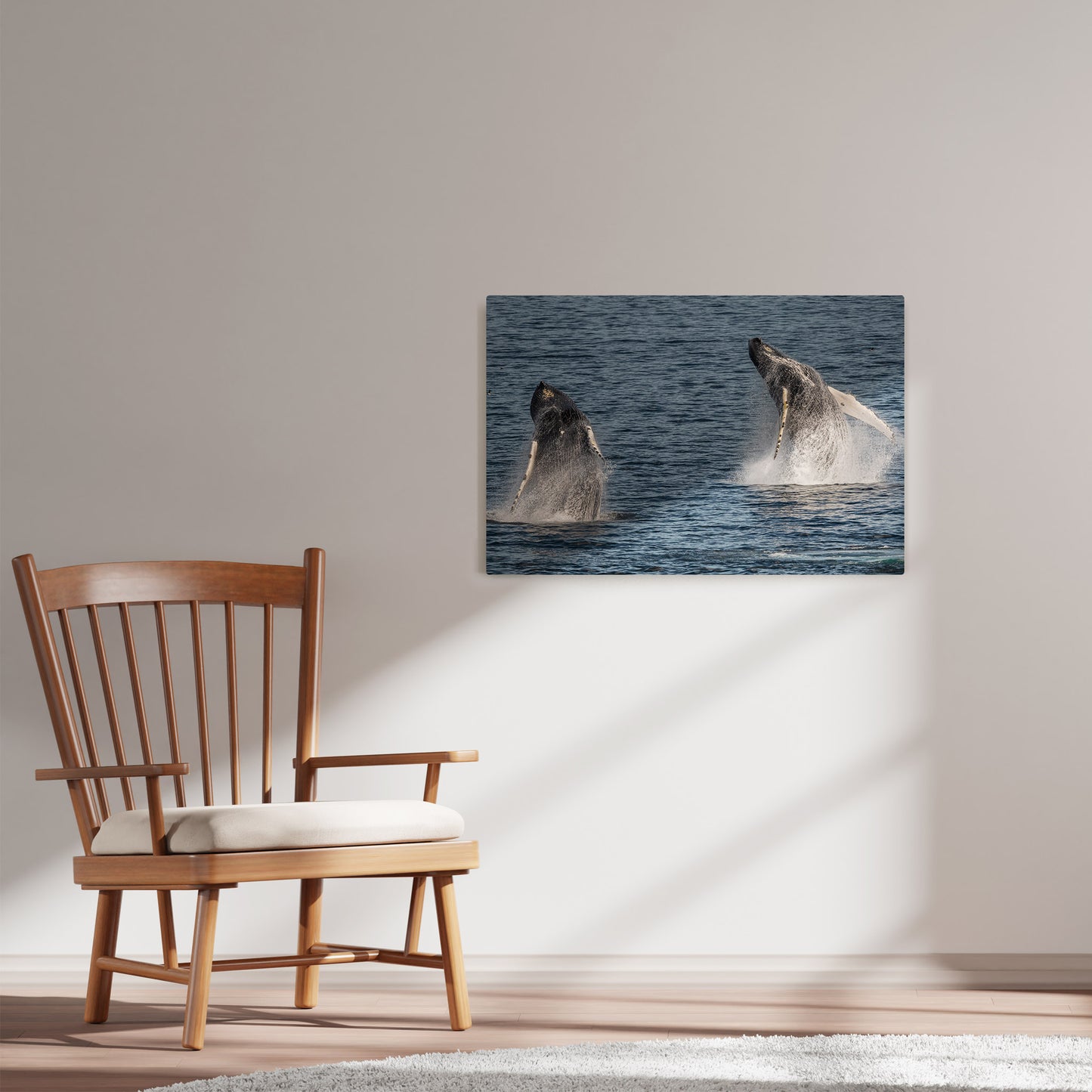 Ray Mackey's Double Whales photography reproduced on HD metal print and displayed on wall