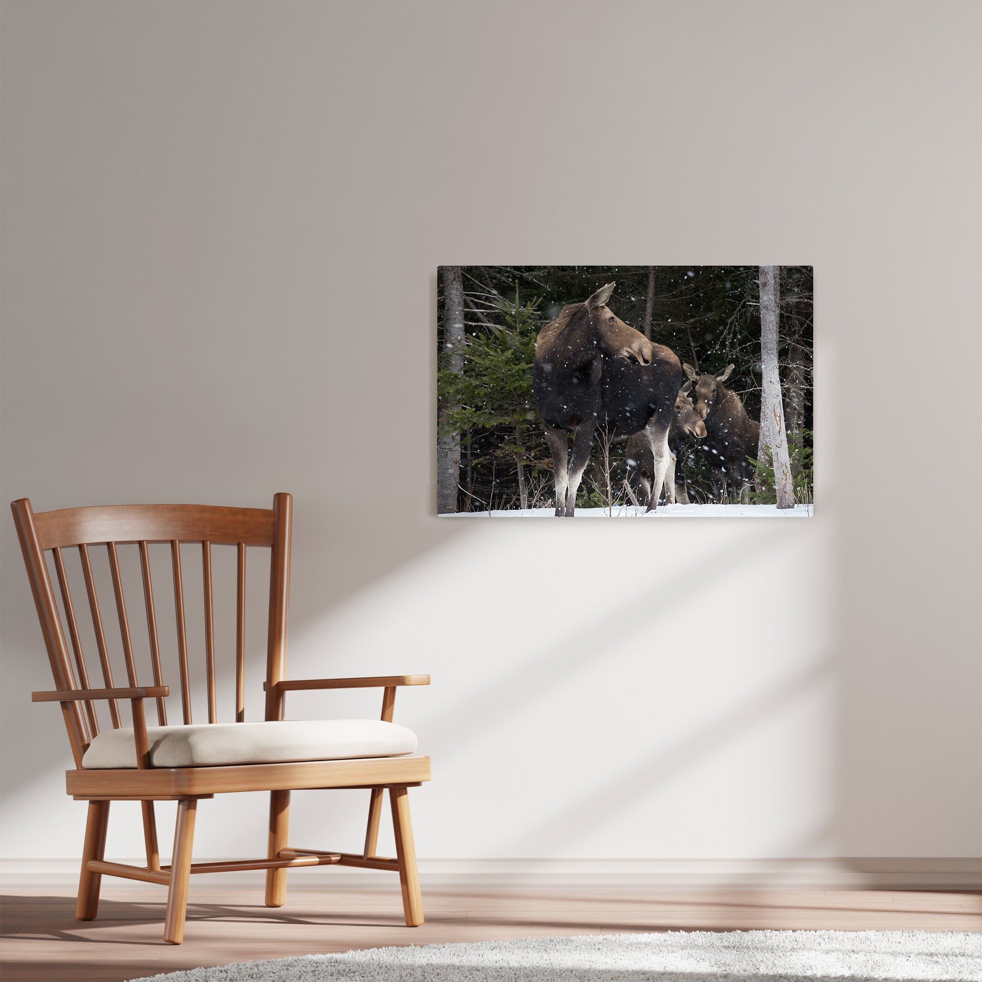 Ray Mackey's Moose Twins photography reproduced on HD metal print and displayed on wall
