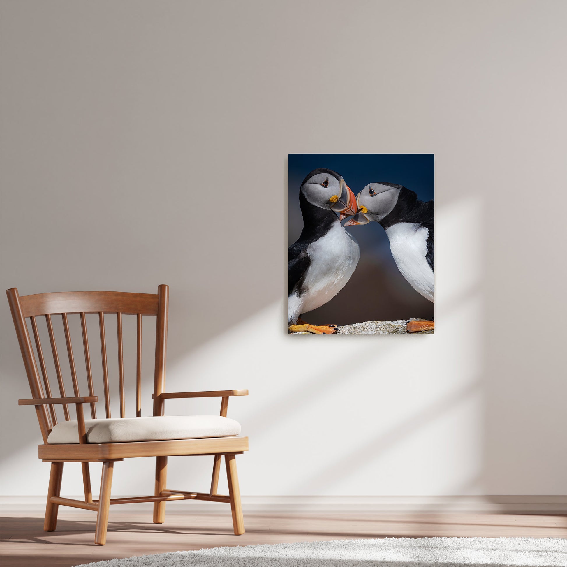 Ray Mackey's Puffin Couple photography reproduced on HD metal print and displayed on wall